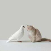 ヒメ日記 2025/10/02 10:40 投稿 ひかり お姉京都