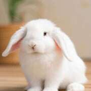 ひかり いやあああああ😭 お姉京都