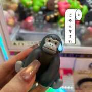 ヒメ日記 2026/01/18 04:52 投稿 ひかり お姉京都