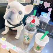 ヒメ日記 2025/01/22 20:45 投稿 かすみ セレブクエスト-omiya-