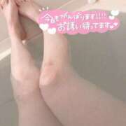 ヒメ日記 2026/03/28 14:57 投稿 森高 鶯谷人妻城