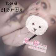 ヒメ日記 2025/08/09 16:48 投稿 せな One More 奥様　西川口店