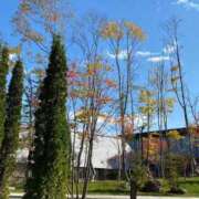 ヒメ日記 2025/08/28 23:47 投稿 はづき SOAPLAND LOVE FACTORY