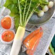 ヒメ日記 2024/12/15 19:22 投稿 サーキットのエンジェル『凛』 GOOD-グッド-