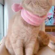 ヒメ日記 2025/01/20 22:36 投稿 サーキットのエンジェル『凛』 GOOD-グッド-