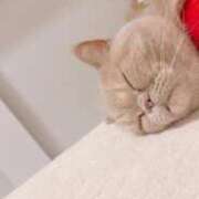 ヒメ日記 2025/03/26 16:25 投稿 サーキットのエンジェル『凛』 GOOD-グッド-