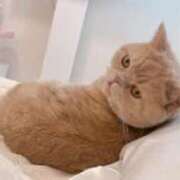 ヒメ日記 2025/04/14 17:45 投稿 サーキットのエンジェル『凛』 GOOD-グッド-