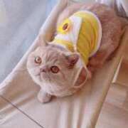 ヒメ日記 2025/05/18 14:20 投稿 サーキットのエンジェル『凛』 GOOD-グッド-