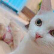 ヒメ日記 2025/11/04 01:24 投稿 サーキットのエンジェル『凛』 GOOD-グッド-