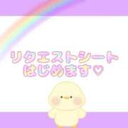 ヒメ日記 2025/05/01 20:51 投稿 さつき Versailles