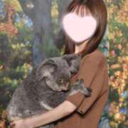 ヒメ日記 2025/07/17 19:51 投稿 さつき Versailles