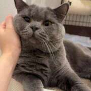 ヒメ日記 2024/12/12 04:36 投稿 美浜はな HYPER TOKYO