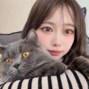 ヒメ日記 2025/04/09 13:14 投稿 美浜はな HYPER TOKYO