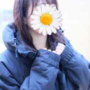 ヒメ日記 2025/04/17 08:15 投稿 あおい 西船人妻花壇