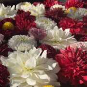 ヒメ日記 2026/03/31 13:20 投稿 あいり クラブレア南大阪