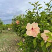 ヒメ日記 2026/04/04 19:31 投稿 あいり クラブレア南大阪