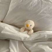 ヒメ日記 2025/03/19 17:55 投稿 しの リッチドールパート2梅田店