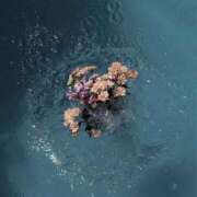 ヒメ日記 2025/05/01 18:52 投稿 しの リッチドールパート2梅田店