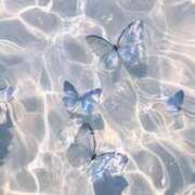 ヒメ日記 2025/06/05 17:35 投稿 しの リッチドールパート2梅田店