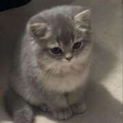 ヒメ日記 2025/08/21 18:36 投稿 しの リッチドールパート2梅田店