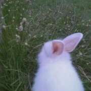 ヒメ日記 2025/08/25 20:53 投稿 しの リッチドールパート2梅田店