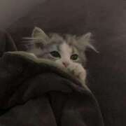 ヒメ日記 2025/10/12 06:13 投稿 しの リッチドールパート2梅田店