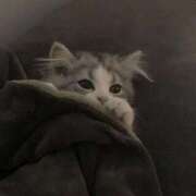 ヒメ日記 2025/10/12 06:31 投稿 しの リッチドールパート2梅田店