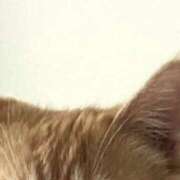 ヒメ日記 2025/10/22 17:43 投稿 しの リッチドールパート2梅田店