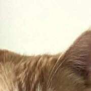 ヒメ日記 2025/10/22 17:45 投稿 しの リッチドールパート2梅田店