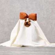 ヒメ日記 2025/11/14 17:48 投稿 しの リッチドールパート2梅田店