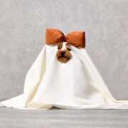 ヒメ日記 2025/11/14 18:05 投稿 しの リッチドールパート2梅田店