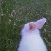 ヒメ日記 2025/11/16 07:21 投稿 しの リッチドールパート2梅田店