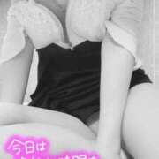 ヒメ日記 2024/12/09 17:16 投稿 寺島まひる ABC 岩手ソープ