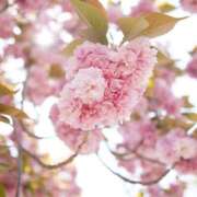 ヒメ日記 2024/12/12 23:46 投稿 寺島まひる ABC 岩手ソープ