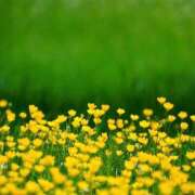 ヒメ日記 2024/12/18 22:16 投稿 寺島まひる ABC 岩手ソープ