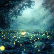 ヒメ日記 2024/12/19 21:16 投稿 寺島まひる ABC 岩手ソープ