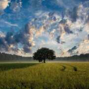 ヒメ日記 2024/12/27 17:16 投稿 寺島まひる ABC 岩手ソープ