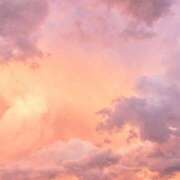 ヒメ日記 2024/12/29 05:16 投稿 寺島まひる ABC 岩手ソープ