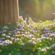 ヒメ日記 2025/01/02 16:01 投稿 寺島まひる ABC 岩手ソープ