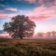 ヒメ日記 2025/01/15 07:01 投稿 寺島まひる ABC 岩手ソープ