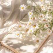 ヒメ日記 2025/01/20 05:31 投稿 寺島まひる ABC 岩手ソープ