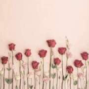 ヒメ日記 2025/01/23 21:16 投稿 寺島まひる ABC 岩手ソープ