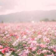 ヒメ日記 2025/01/24 07:16 投稿 寺島まひる ABC 岩手ソープ