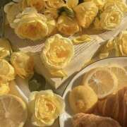 ヒメ日記 2025/01/26 06:16 投稿 寺島まひる ABC 岩手ソープ