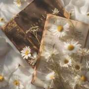 ヒメ日記 2025/01/27 07:01 投稿 寺島まひる ABC 岩手ソープ