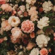 ヒメ日記 2025/01/27 21:16 投稿 寺島まひる ABC 岩手ソープ