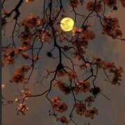 ヒメ日記 2025/01/28 21:46 投稿 寺島まひる ABC 岩手ソープ