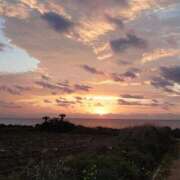 ヒメ日記 2025/01/29 07:16 投稿 寺島まひる ABC 岩手ソープ