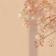 ヒメ日記 2025/01/30 23:16 投稿 寺島まひる ABC 岩手ソープ