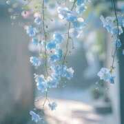 ヒメ日記 2025/01/31 23:31 投稿 寺島まひる ABC 岩手ソープ